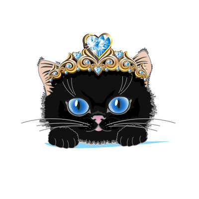 一只戴着金色皇冠和蓝色水晶的猫