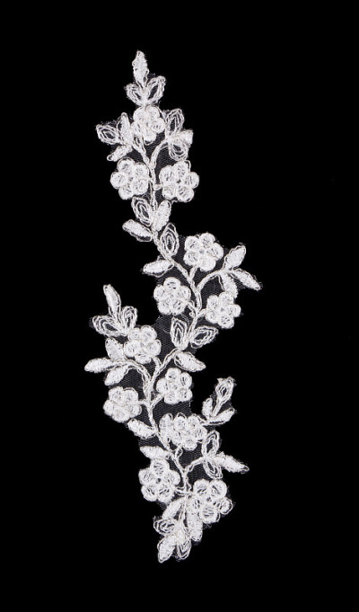 白色的蕾丝花朵