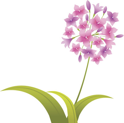 图标的花