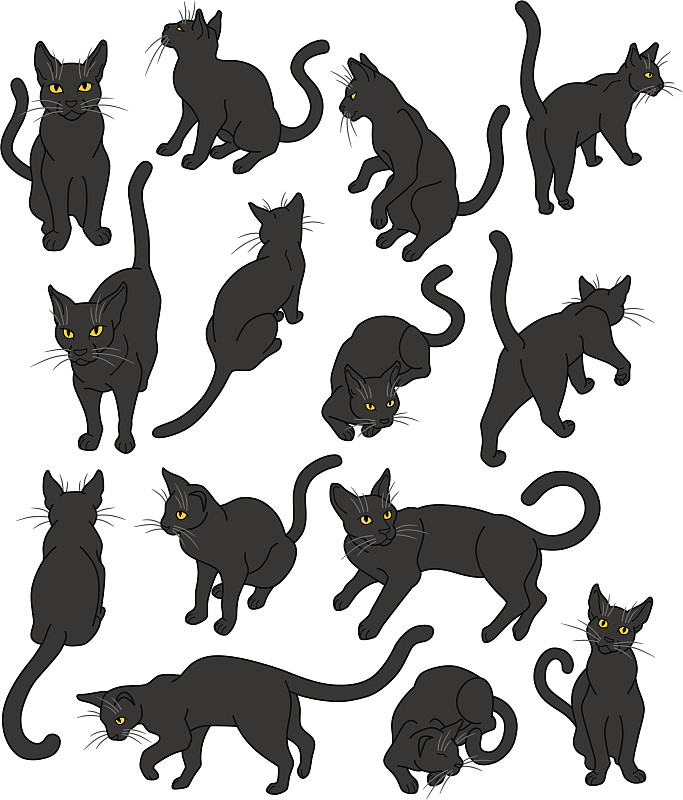 黑猫