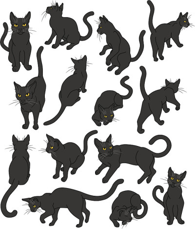 黑猫