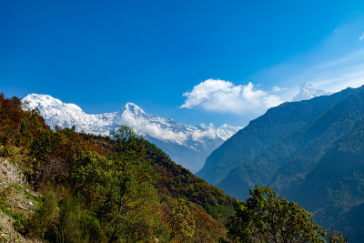 Machapuchare view)