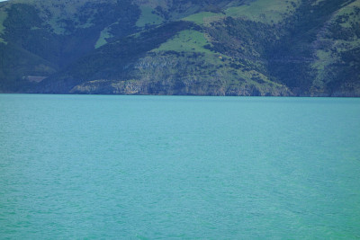 的观点Akaroa
