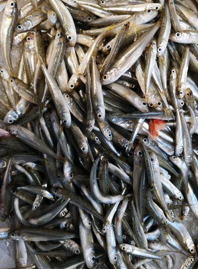 鱼市场