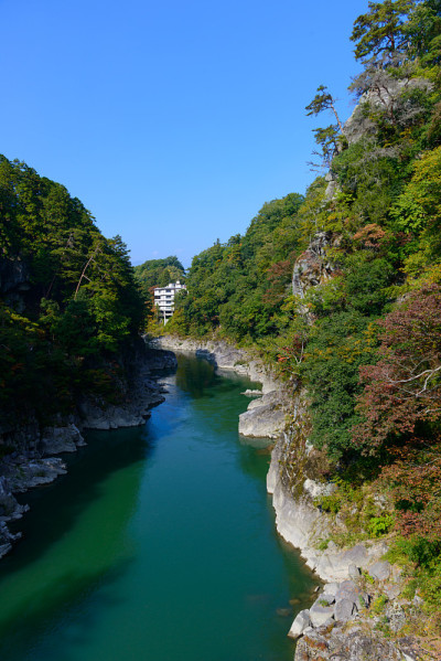 Tenryukyou在秋天