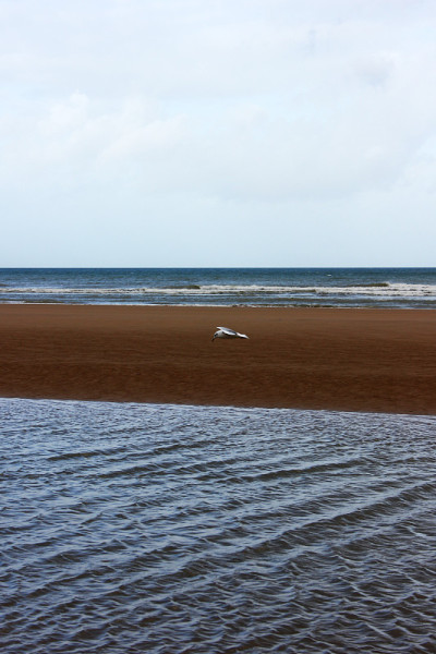 诺曼底登陆海滩