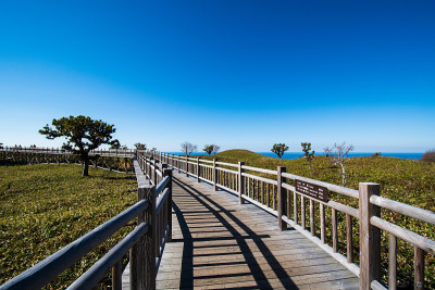 知子五湖高架木路和秋叶荒野，知子，北海道，日本