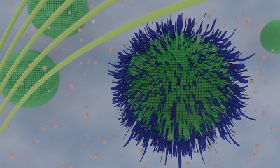 疱疹病毒背景，3d