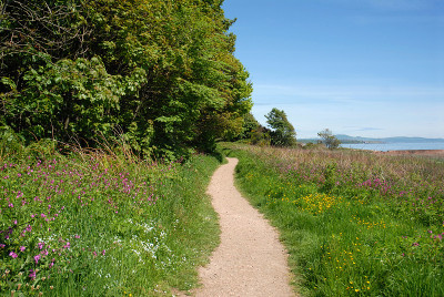 横笛沿海道路