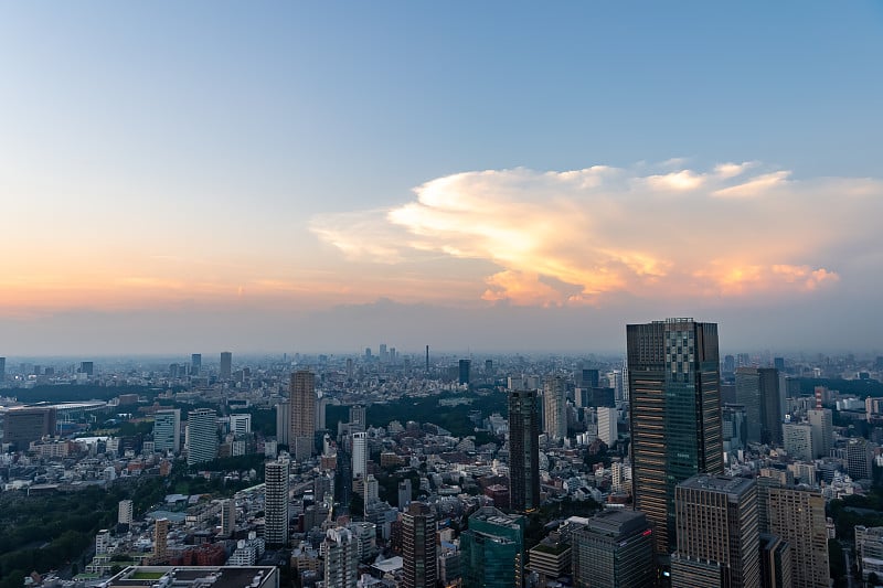 从六本木摩天大楼的观景台上俯瞰东京的夜景。