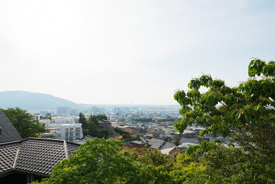 Hibarigaoka城市景观