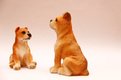狗