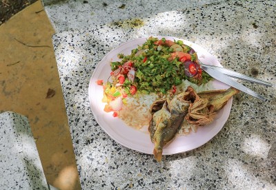 鱼炒和翅豆饭盘泰国乡村美食