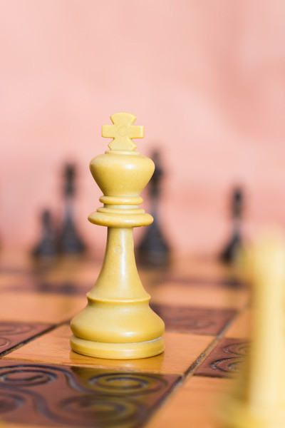 棋盘上的象棋