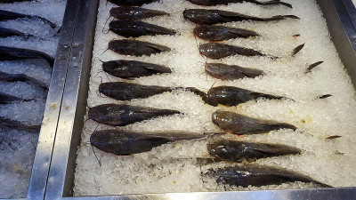 超市里冰上陈列的新鲜冷冻鲶鱼。