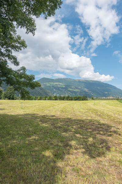 阿尔卑斯山村庄格兰斯的郊区景色