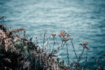 海滨9