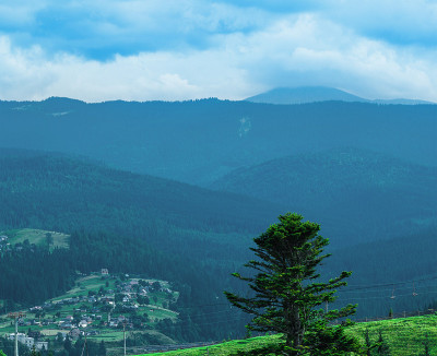 农村景观