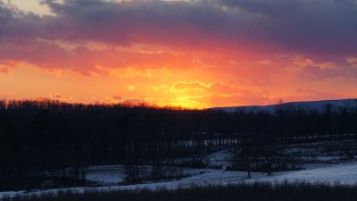 宾夕法尼亚州的活力