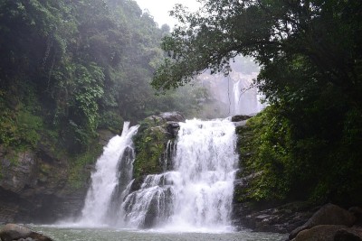 Nuayaca达沃特