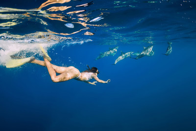 年轻女子和海豚在蓝色的海洋里浮潜。毛里求斯