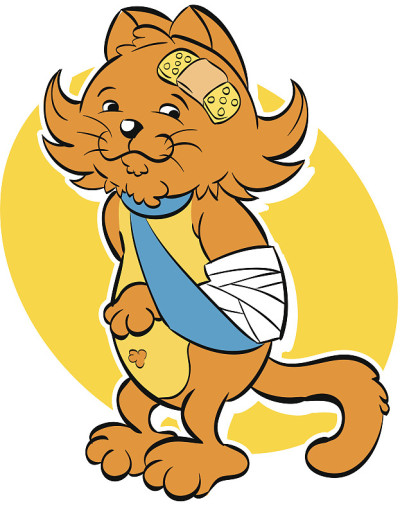 急救绷带的猫