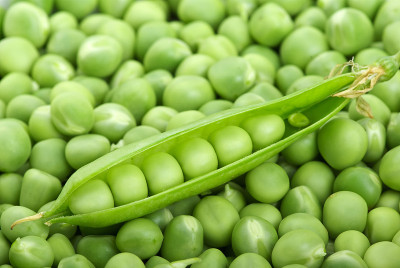 豌豆和破荚