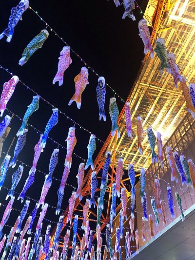 鲤鱼等浮电缆
