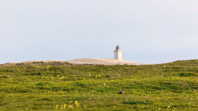 Rubjerg Knude灯塔