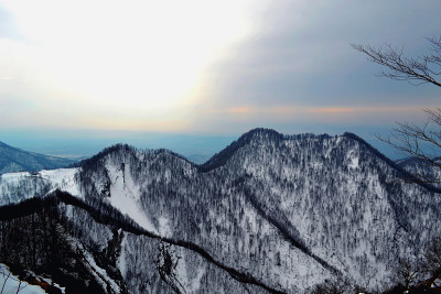高的雪山。黑秃树。