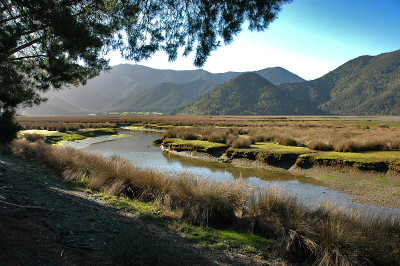 佩洛鲁斯河沼泽地