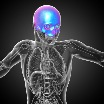 3d渲染医学插图的上颅骨