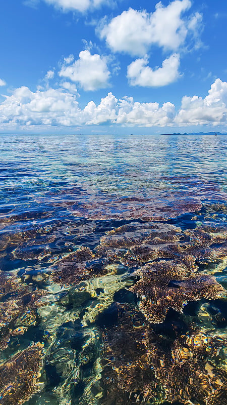 珊瑚礁与水晶海景