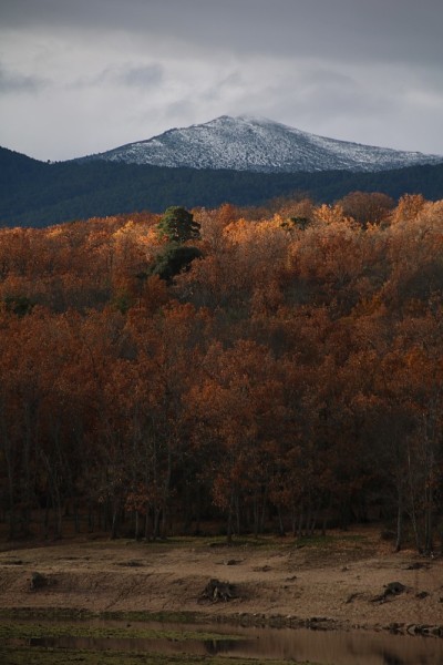 景观