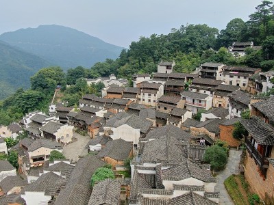 农村的观点