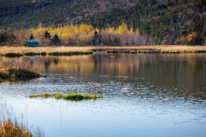 Long Pond, St. John's, Newfoundland and Labrador的晚