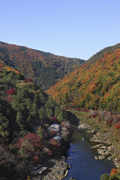 岚山红叶