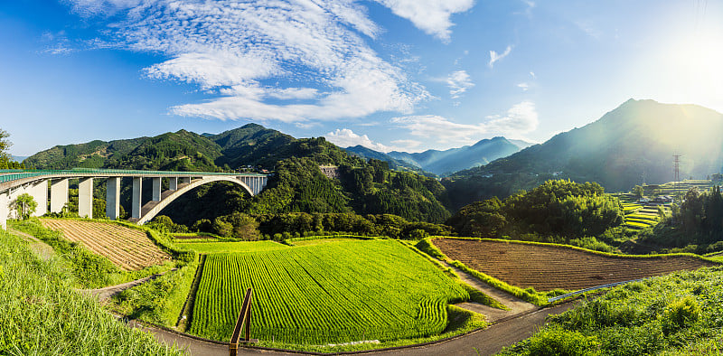 日本宫崎骏高雄的稻田景观和拱桥。