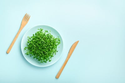 在盘子上放一小份微绿。饮食和减肥的概念。
