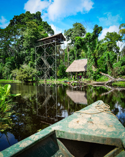 在亚马逊雨林的一个湖上划船。Tambopata、秘鲁