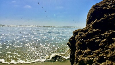 黑海滩岩石水和鹈鹕