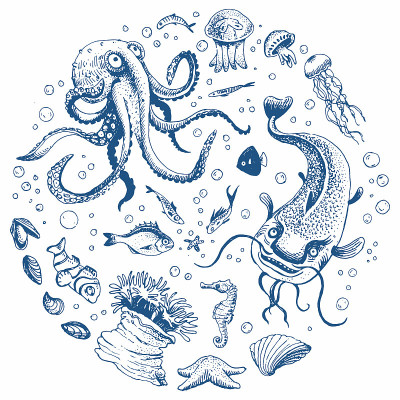 海洋生物组