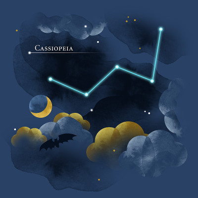 夜空中仙后座的插图。