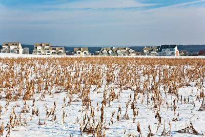 土地上覆盖着积雪和上次收获的玉米