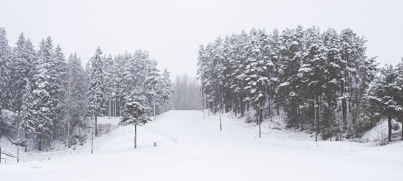 冬天的风景，白雪皑皑的松树高地和雪道，雪花纷飞。