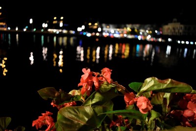 夜灯与花