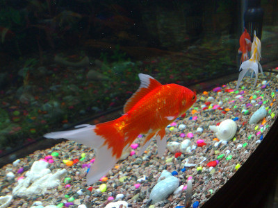 水族馆