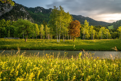 sunset at the ammer river bank in Oberammergau, ge