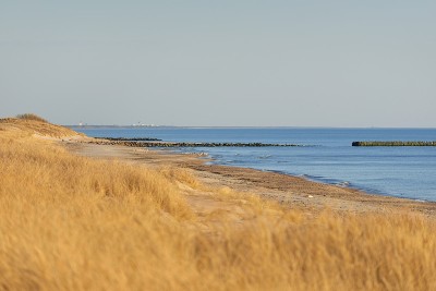 日落时波罗的海的沙岸(海滩、沙丘)。沙丘草特写。立陶宛全景图(帕兰加)从海岸的佩普村，拉脱维亚。春天