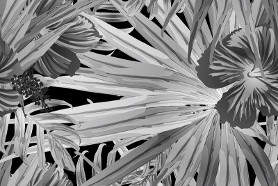 Black white exotic pattern.